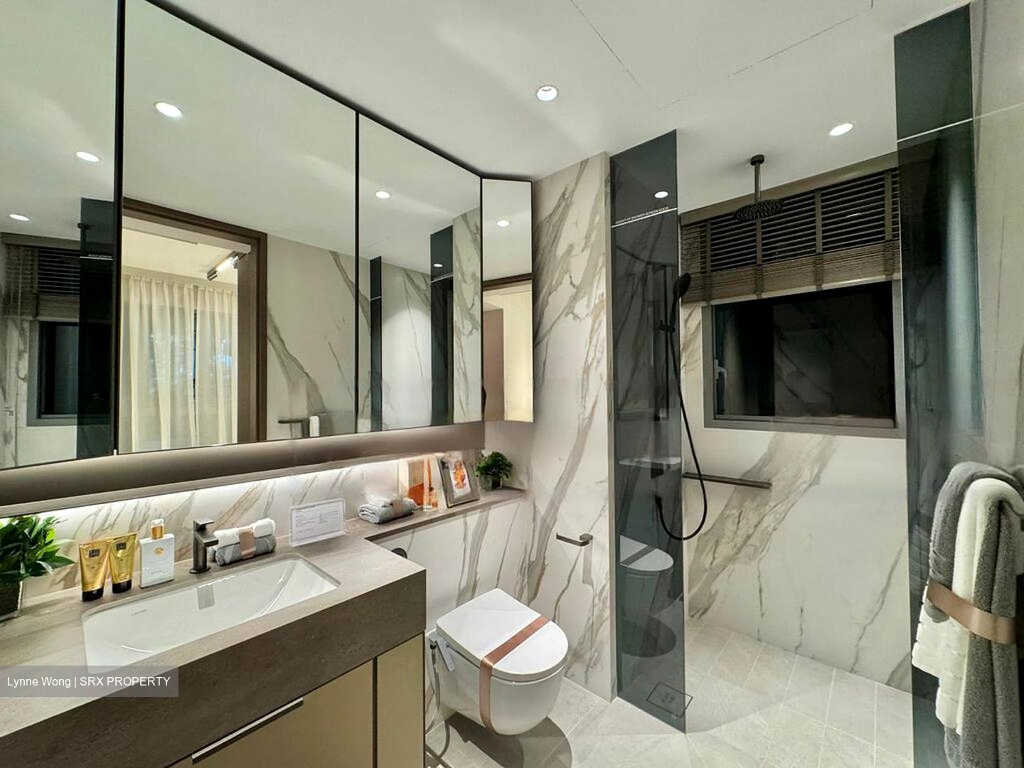 Zion Road (D3), Condominium #502598711